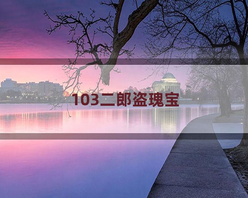 103二郎盗瑰宝