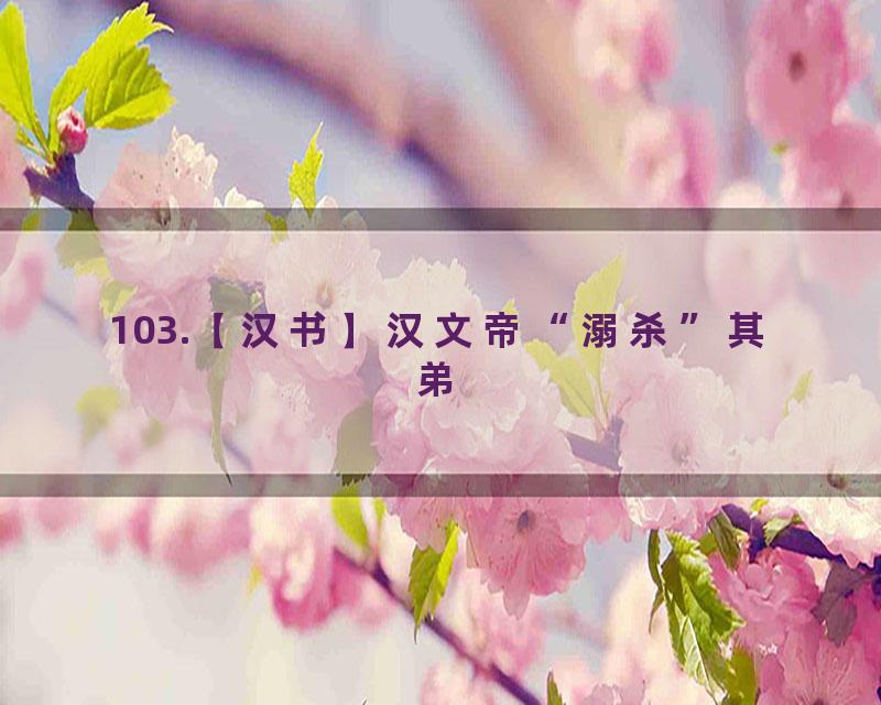 103.【汉书】汉文帝“溺杀”其弟