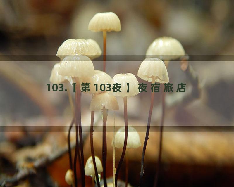 103.【第103夜】夜宿旅店