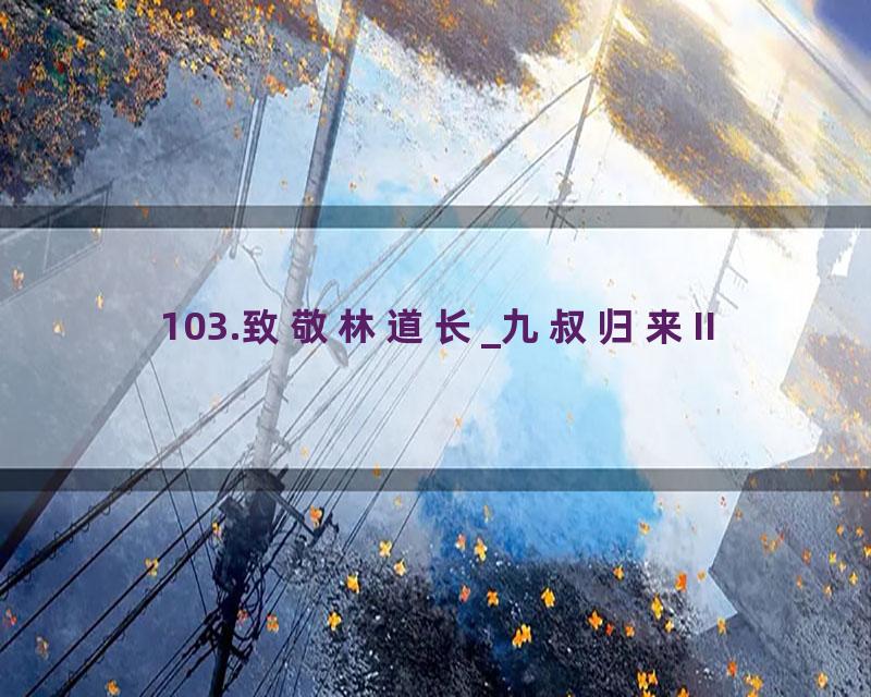103.致敬林道长_九叔归来II