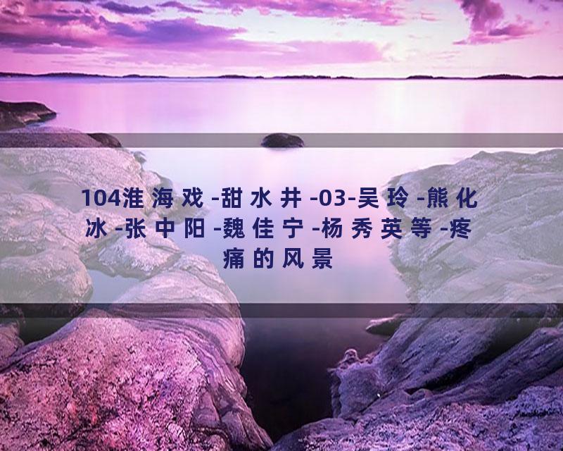 104淮海戏-甜水井-03-吴玲-熊化冰-张中阳-魏佳宁-杨秀英等-疼痛的风景