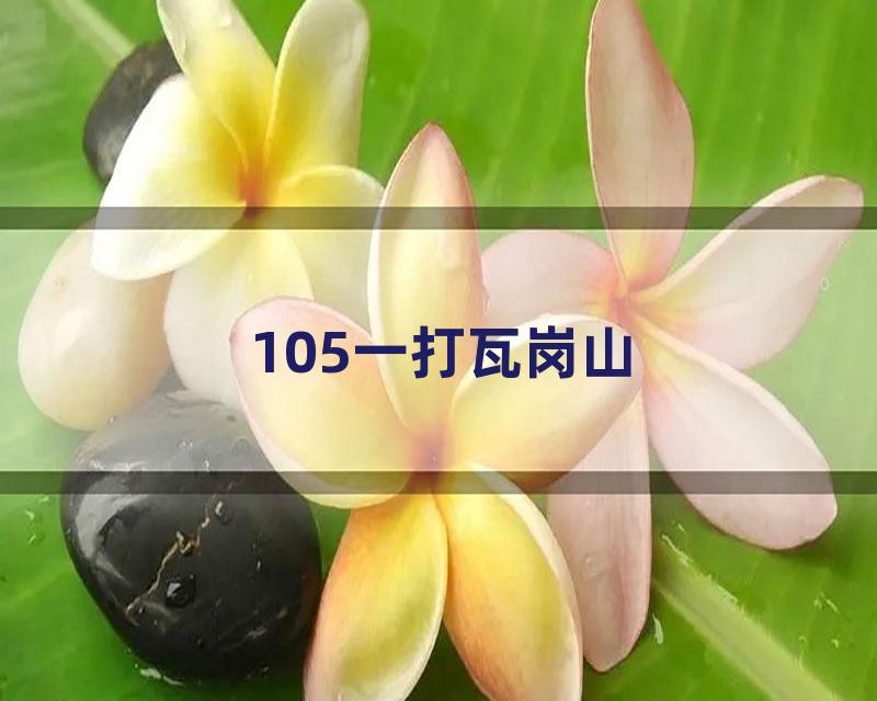105一打瓦岗山