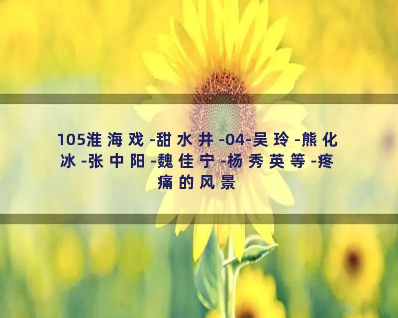 105淮海戏-甜水井-04-吴玲-熊化冰-张中阳-魏佳宁-杨秀英等-疼痛的风景