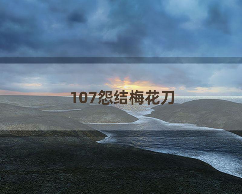 107怨结梅花刀