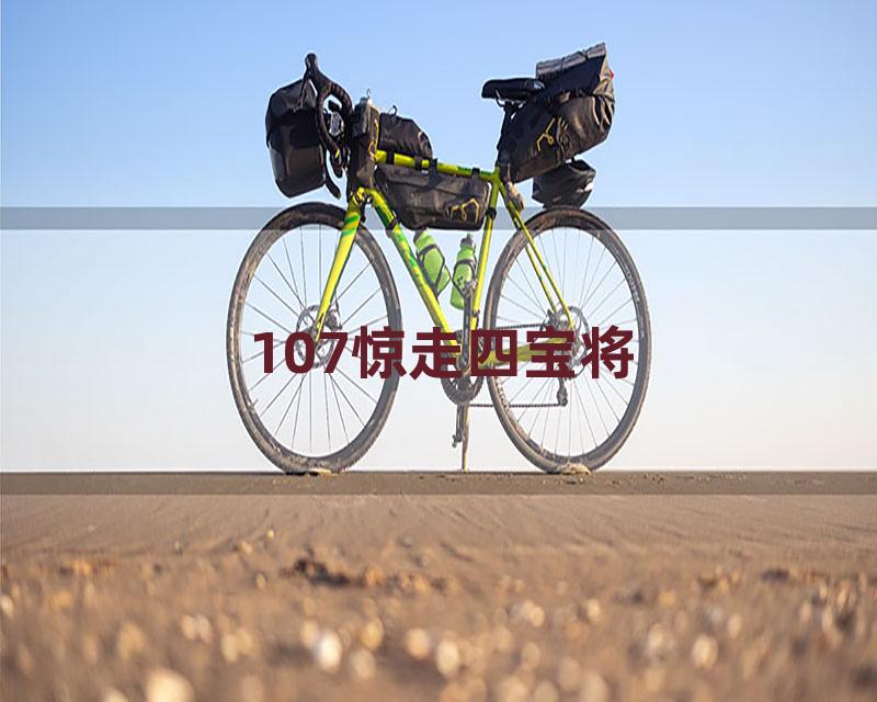 107惊走四宝将