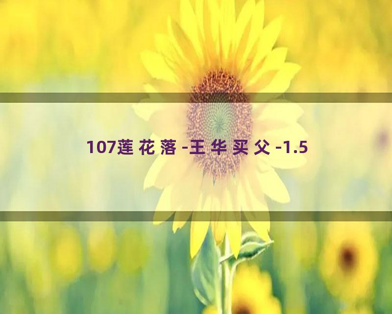 107莲花落-王华买父-1.5