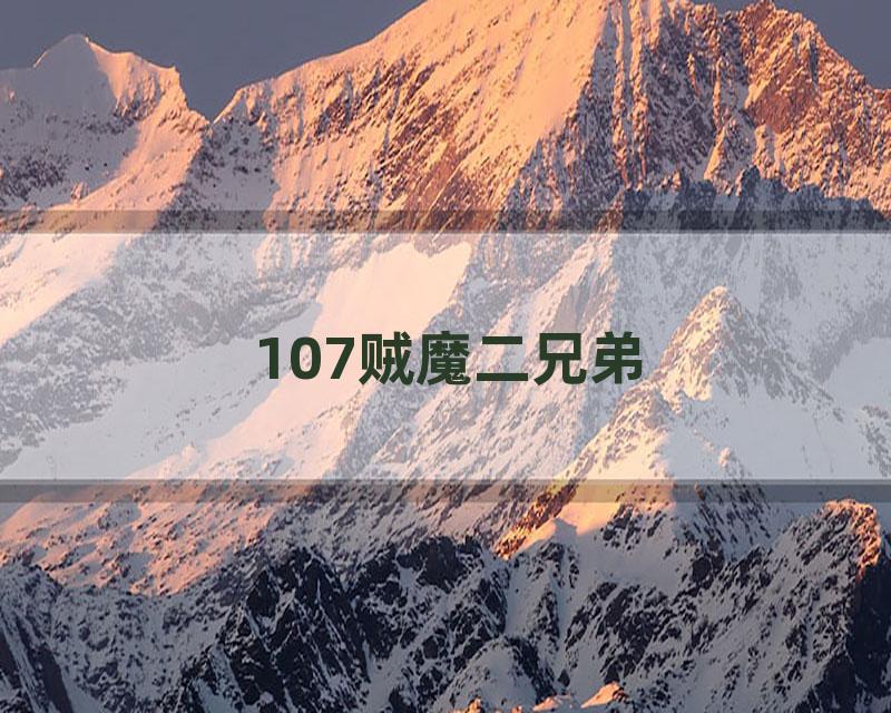 107贼魔二兄弟