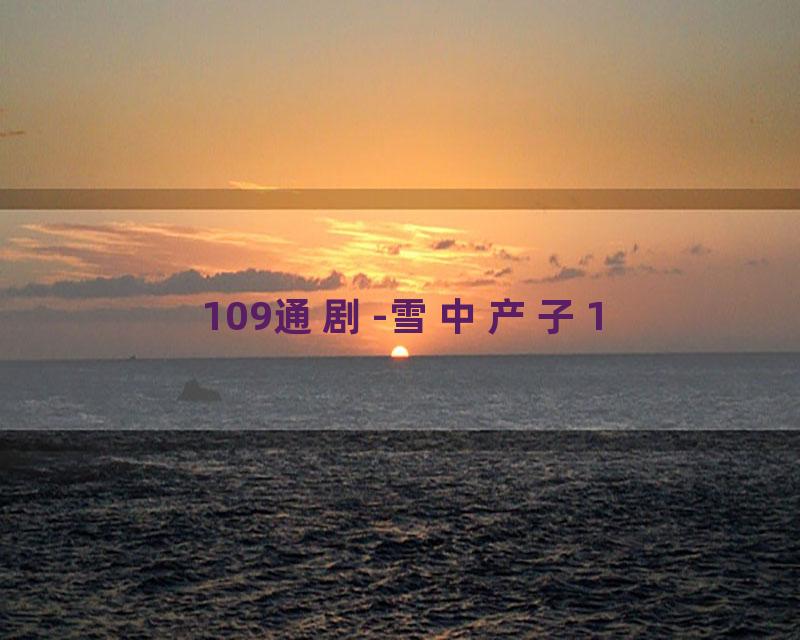 109通剧-雪中产子1