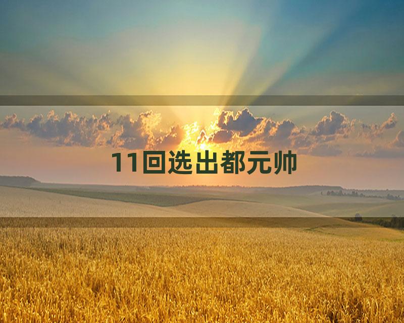 11回选出都元帅