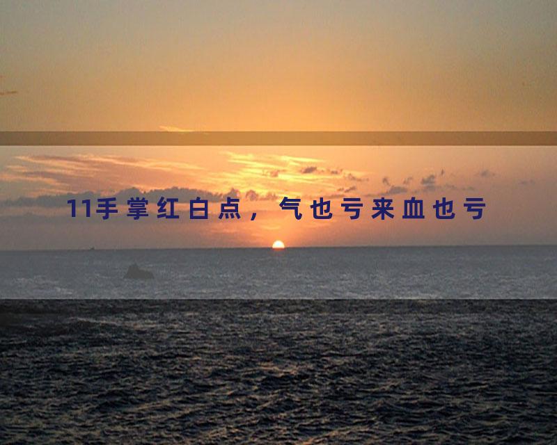 11手掌红白点，气也亏来血也亏