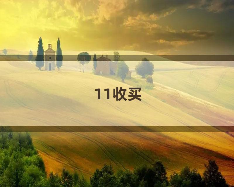 11收买