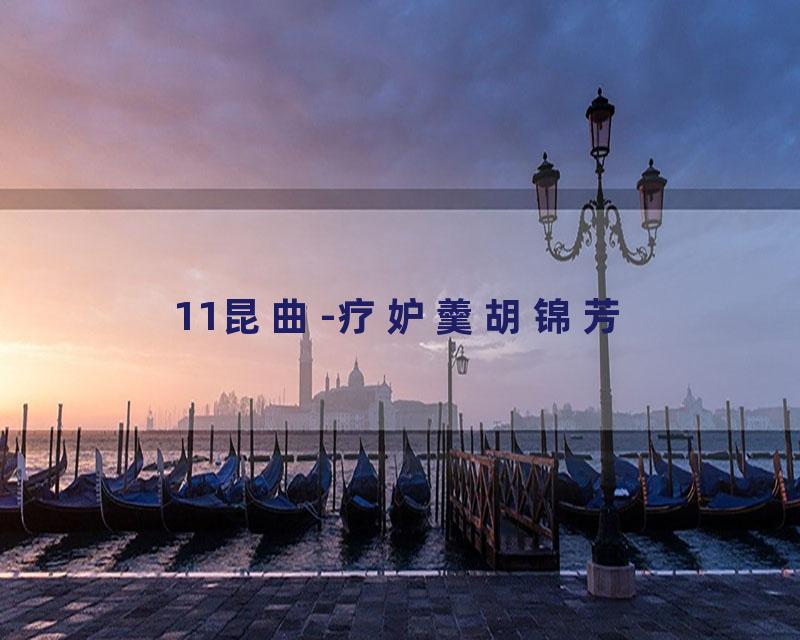 11昆曲-疗妒羹胡锦芳