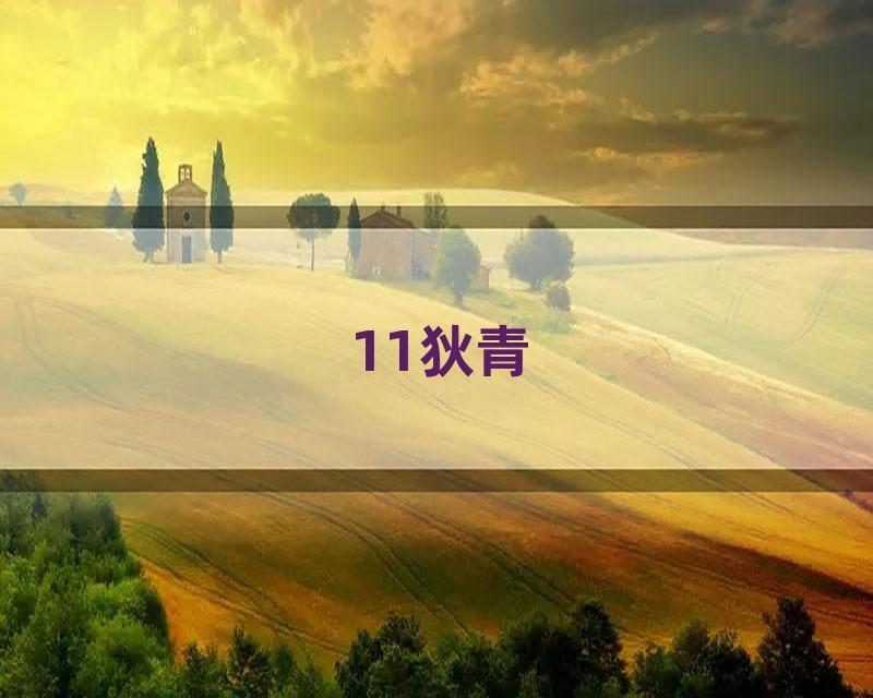 11狄青