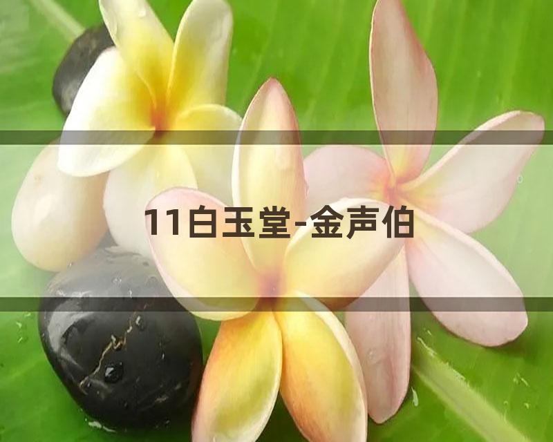 11白玉堂-金声伯