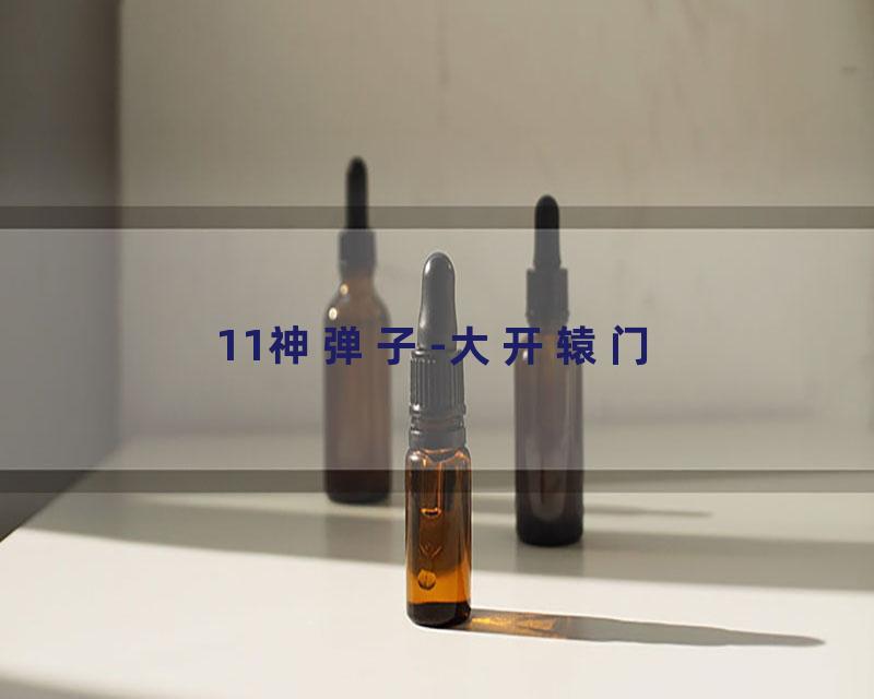 11神弹子-大开辕门