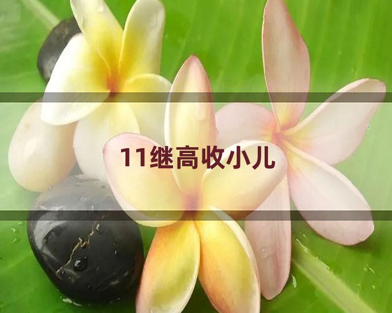 11继高收小儿