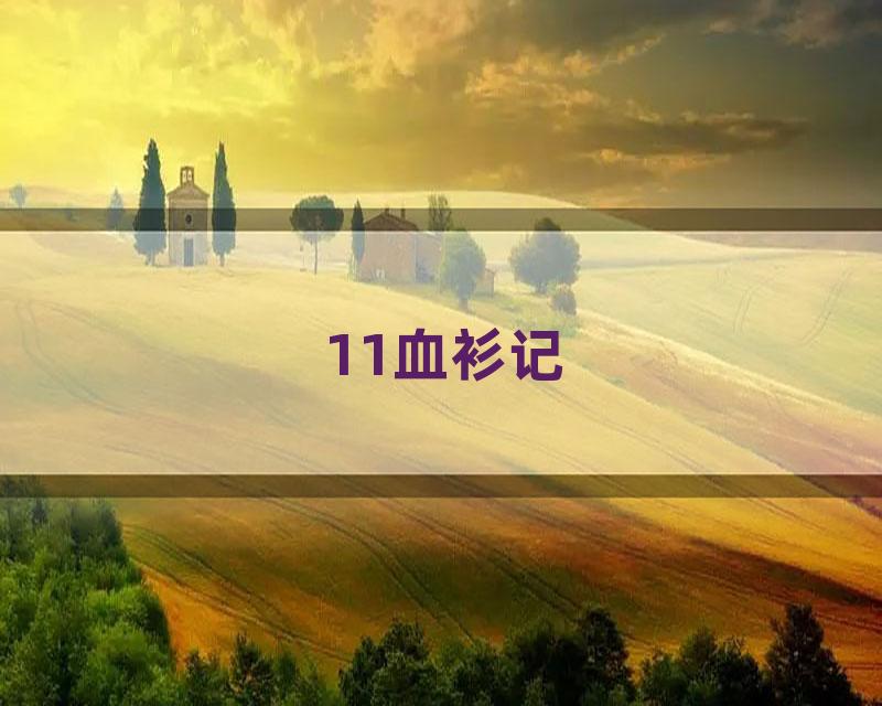 11血衫记