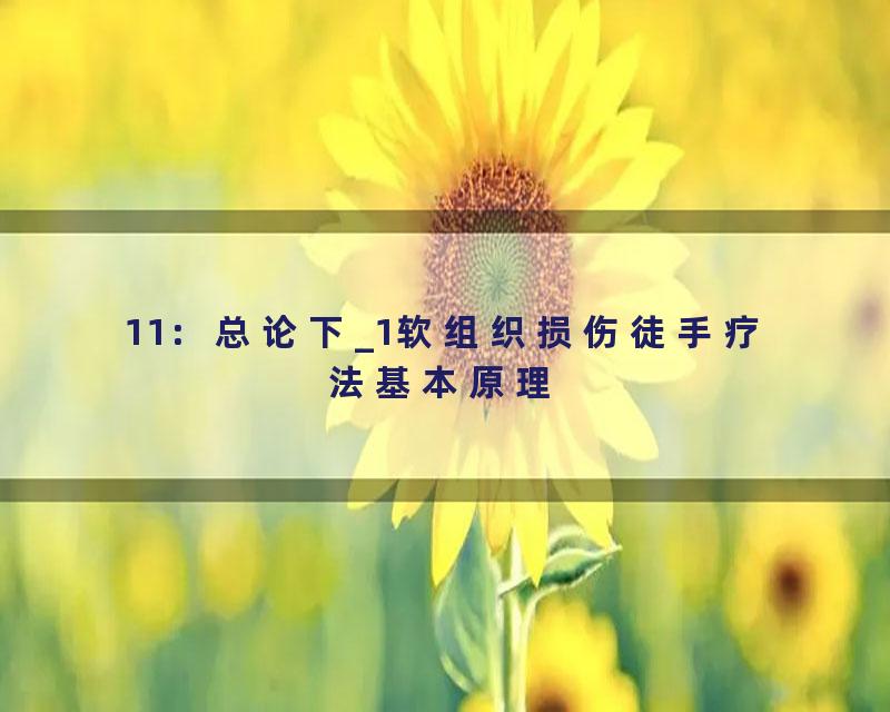 11：总论下_1软组织损伤徒手疗法基本原理