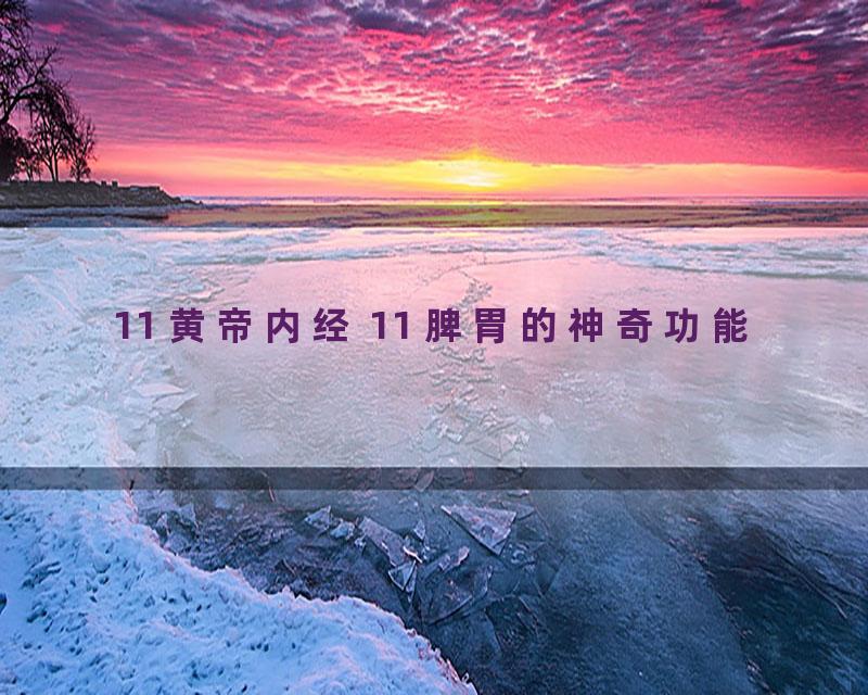 11 黄帝内经 11 脾胃的神奇功能