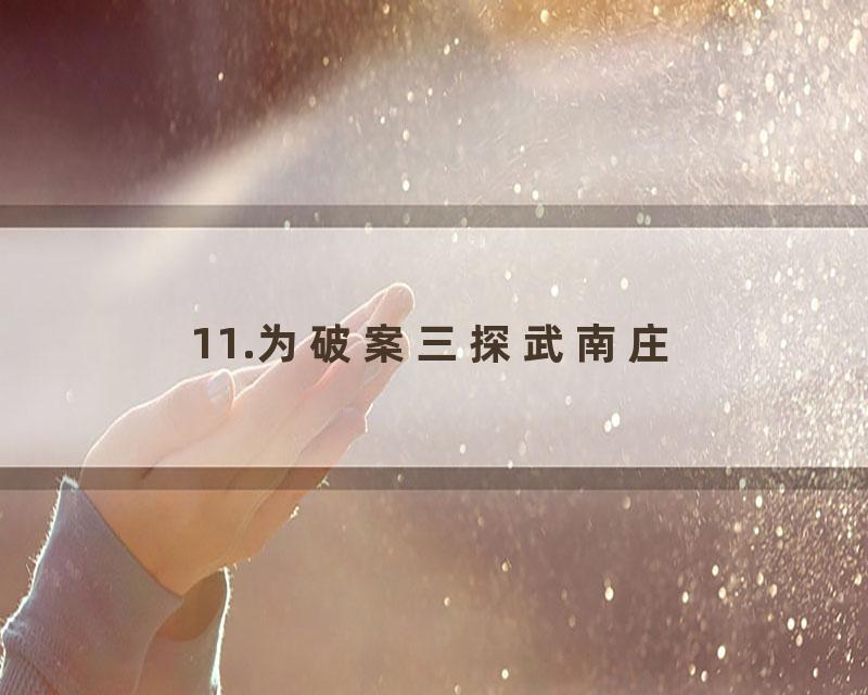 11.为破案三探武南庄