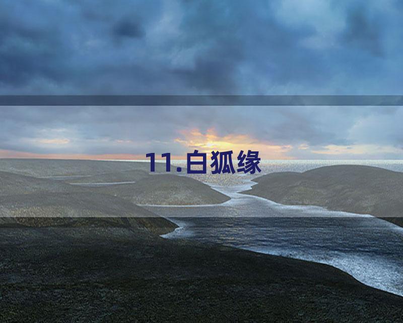 11.白狐缘