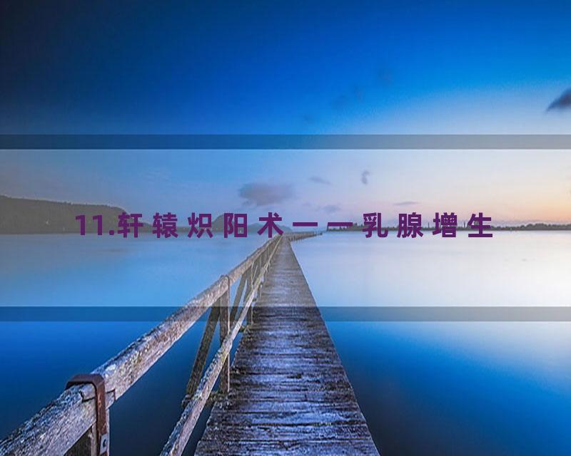 11.轩辕炽阳术一一乳腺增生
