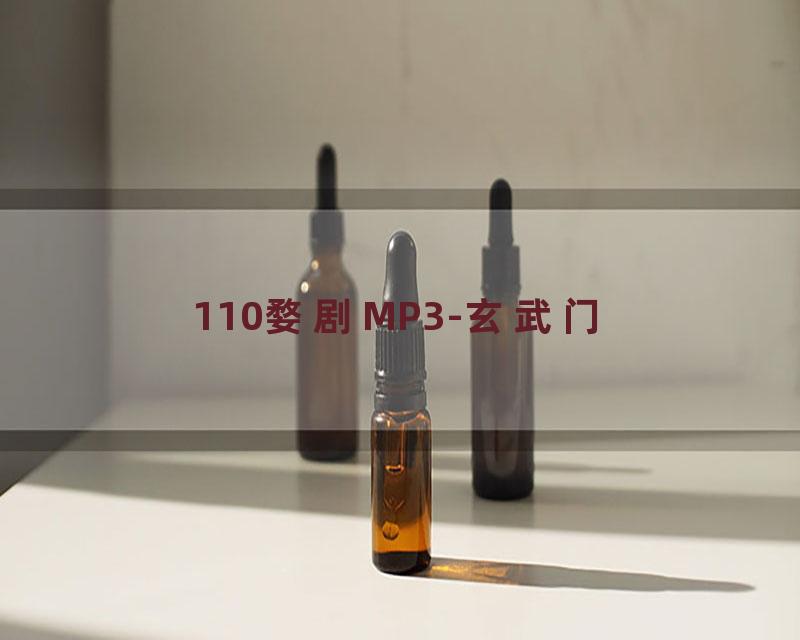 110婺剧MP3-玄武门