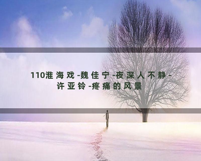 110淮海戏-魏佳宁-夜深人不静-许亚铃-疼痛的风景