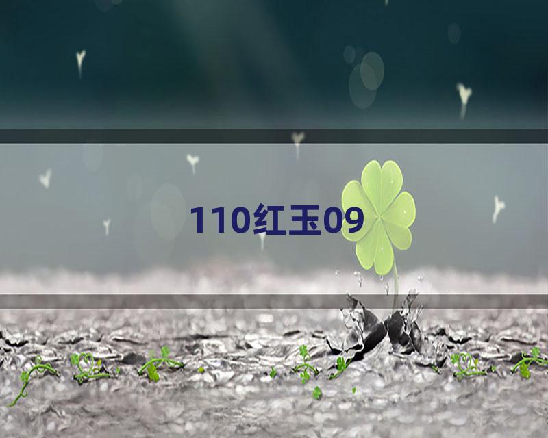 110红玉09