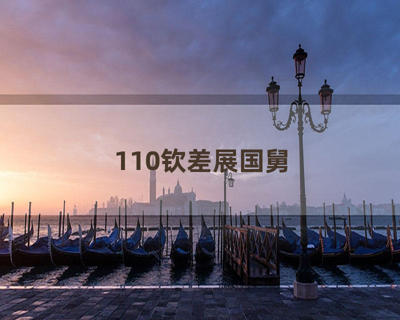 110钦差展国舅