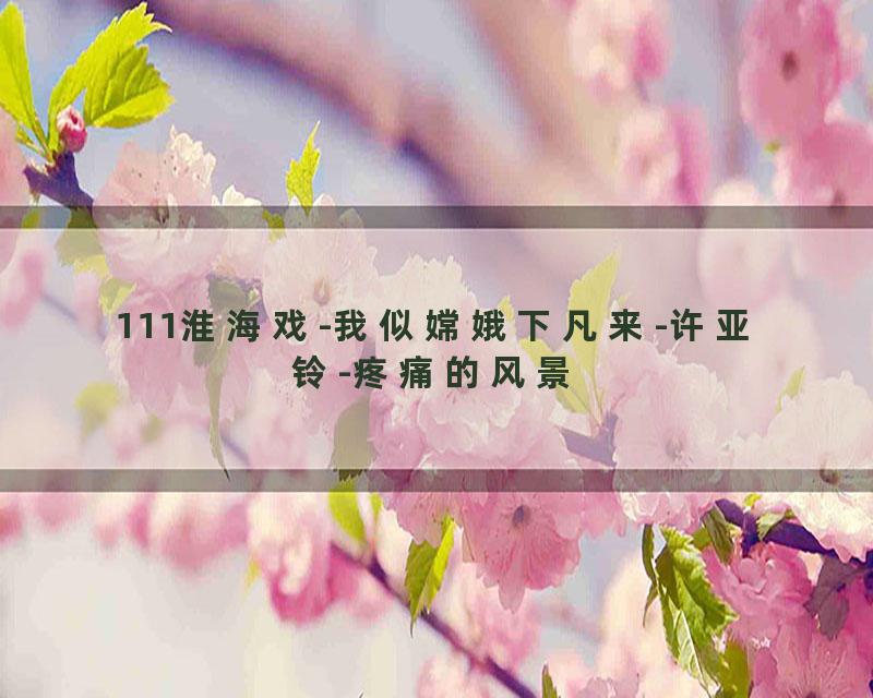 111淮海戏-我似嫦娥下凡来-许亚铃-疼痛的风景