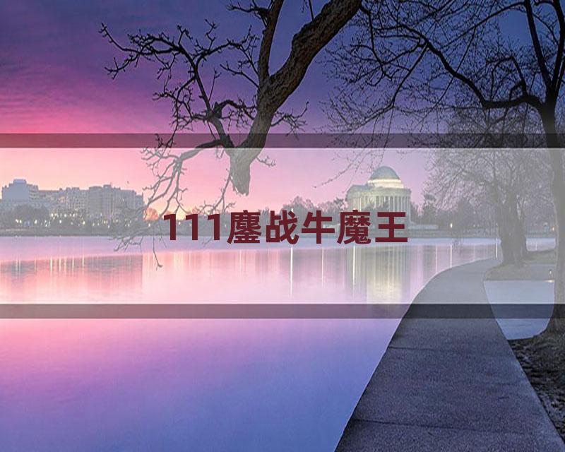 111鏖战牛魔王