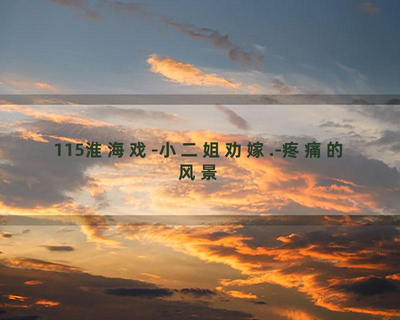 115淮海戏-小二姐劝嫁.-疼痛的风景