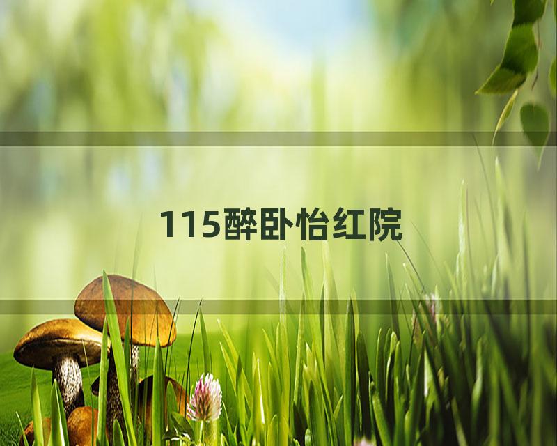 115醉卧怡红院
