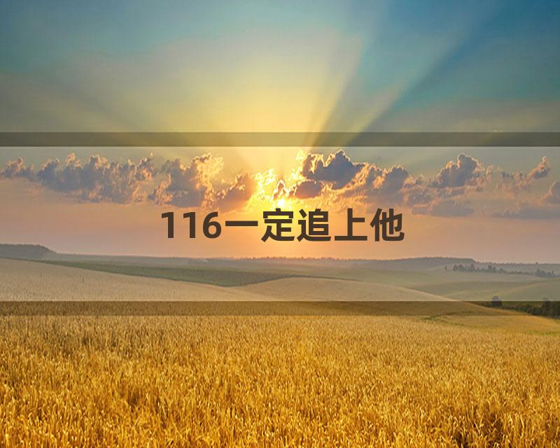 116一定追上他