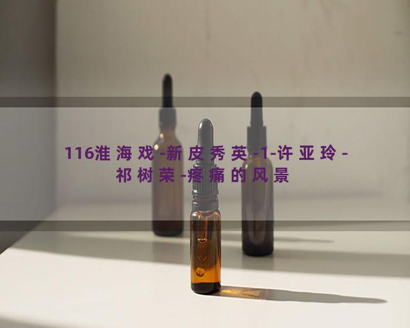 116淮海戏-新皮秀英-1-许亚玲-祁树荣-疼痛的风景