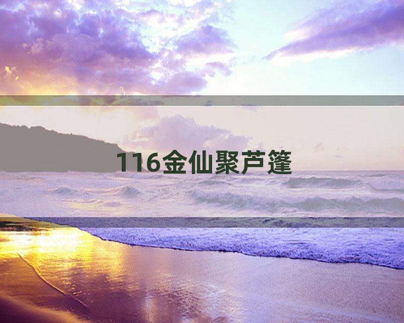116金仙聚芦篷