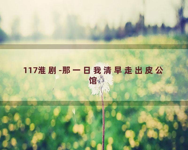 117淮剧-那一日我清早走出皮公馆
