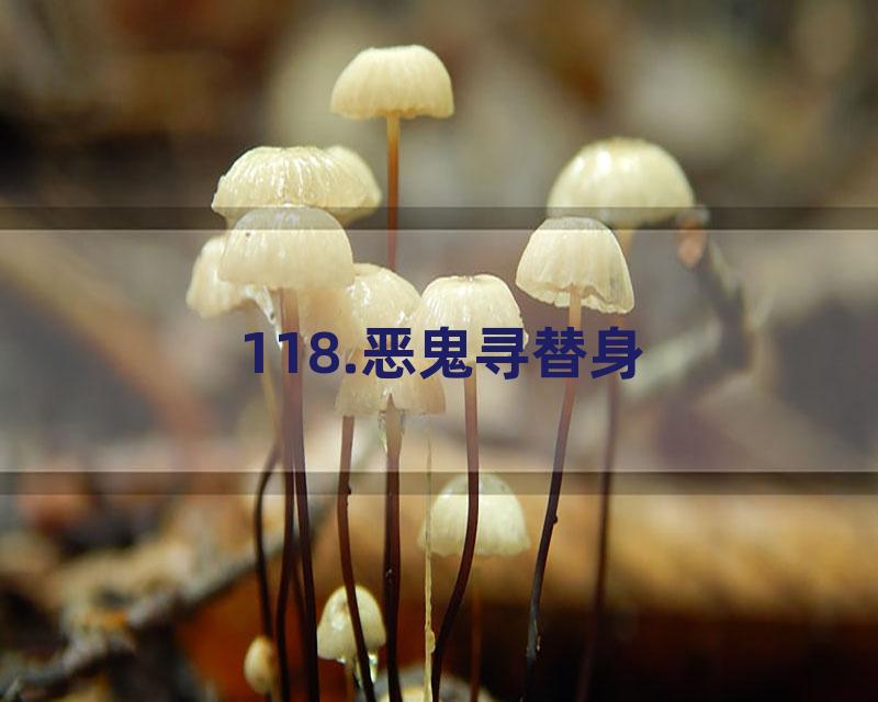 118.恶鬼寻替身