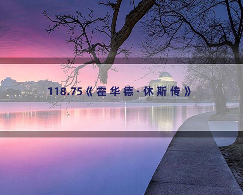 118.75《霍华德·休斯传》