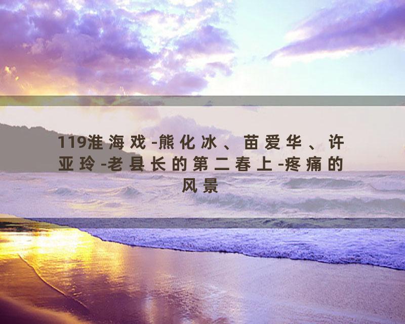 119淮海戏-熊化冰、苗爱华、许亚玲-老县长的第二春上-疼痛的风景