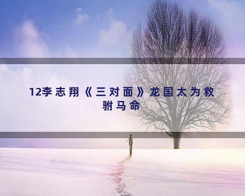 12李志翔《三对面》龙国太为救驸马命