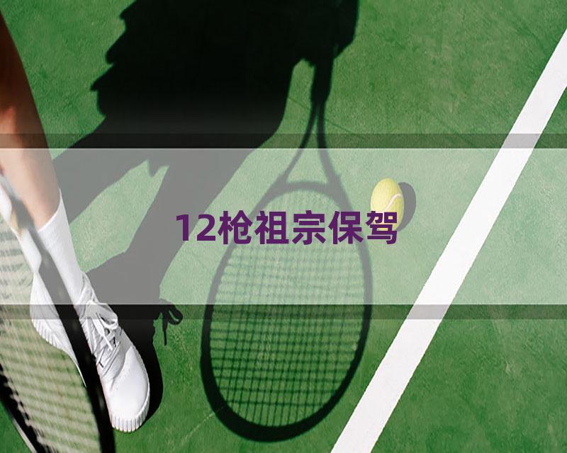 12枪祖宗保驾