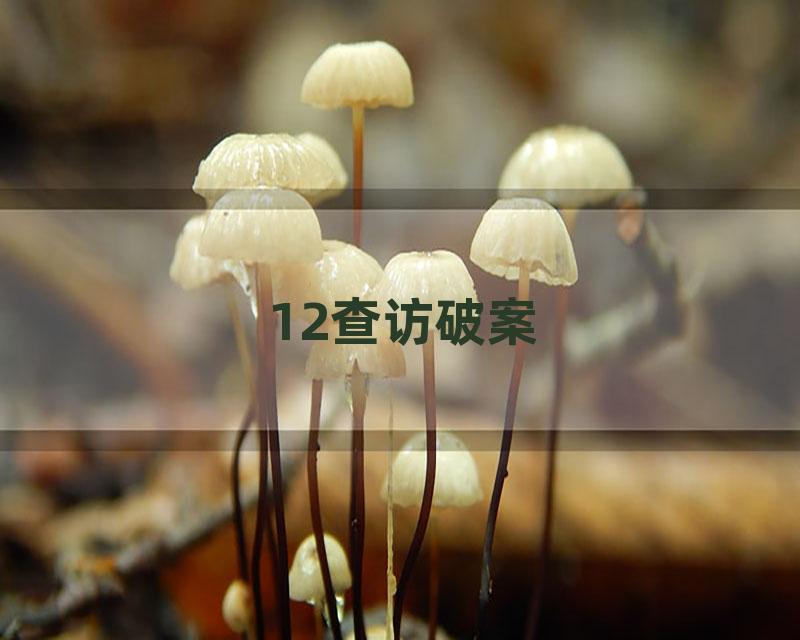 12查访破案