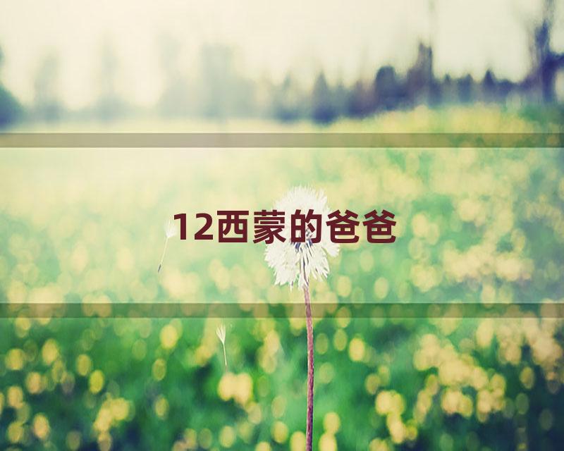 12西蒙的爸爸
