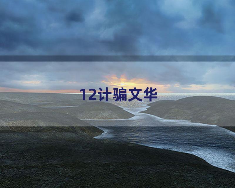 12计骗文华