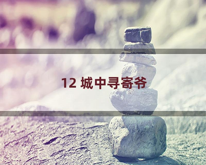 12 城中寻寄爷
