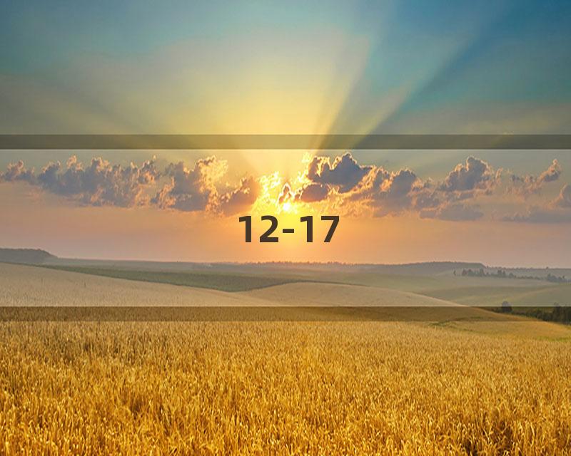 12-17
