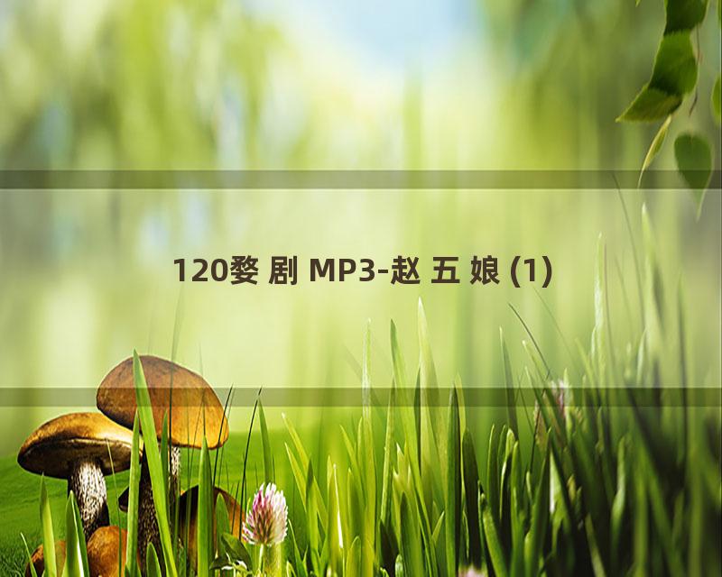 120婺剧MP3-赵五娘(1)