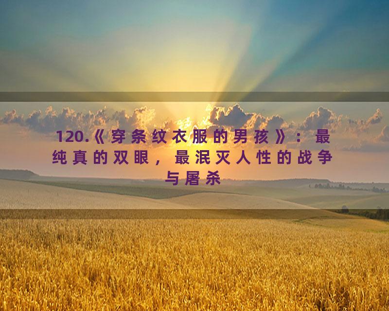 120.《穿条纹衣服的男孩》：最纯真的双眼，最泯灭人性的战争与屠杀